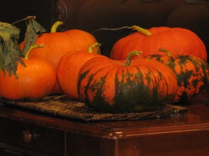If you want a locally grown vibrant pumpkin with a fresh green stem, Bluebird Market sells Elliott Farms pumpkins on Saturday mornings