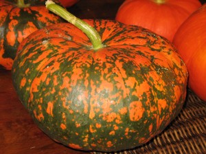 Locally grown by Elliott Farms, Cinderella would love a ride in these pumpkins.